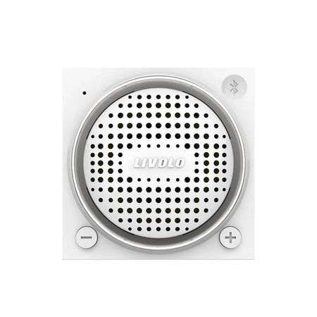WBS-64 Moduł srebrny głośnika bluetooth Livolo