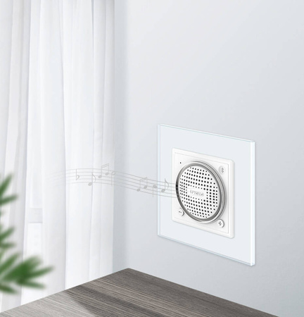 WBS-63 Moduł złoty głośnika bluetooth Livolo