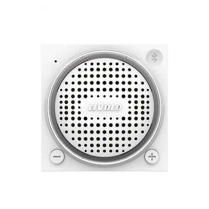 WBS-63 Moduł złoty głośnika bluetooth Livolo